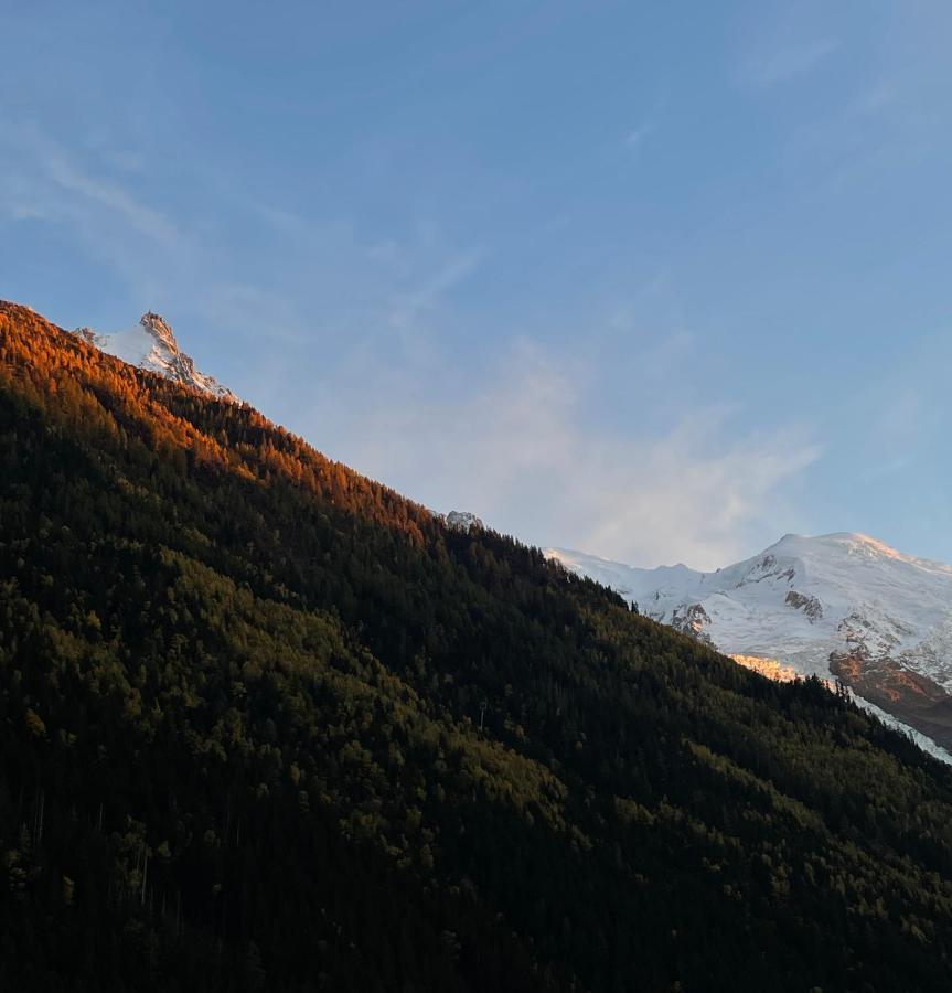 Center & Unique Mountain View Apartment Chamonix Luaran gambar